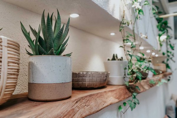 Quels sont les accessoires et les objets indispensables pour la décoration intérieure ?